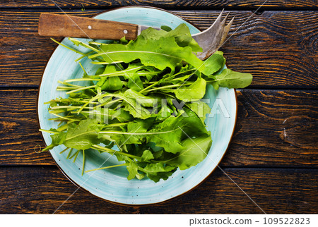 Fresh arugula leaves, green rucola Fresh arugula leaves, green rucola 109522823