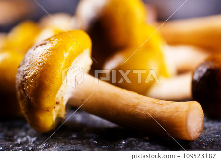 raw mushrooms on kitchen table, fresh mushrooms raw mushrooms on kitchen table, fresh mushrooms 109523187