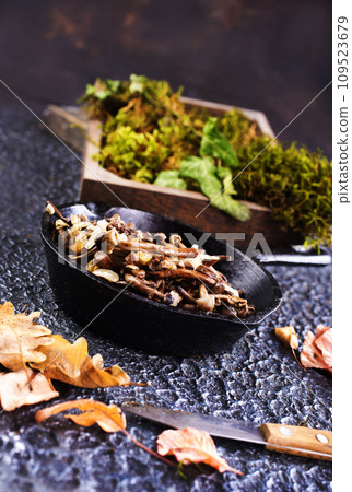 Frying pan with fried mushrooms on dark background Frying pan with fried mushrooms on dark background 109523679