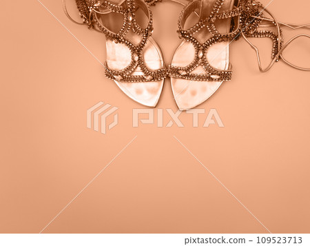 The shiny glamorous shoes were left behind after the party. The background is peach color. The shiny glamorous shoes were left behind after the party. The background is peach color. 109523713