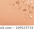 Shells, starfish, corals on a background with a copy space. The background is peach color. 109523719