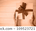 Christmas card with copy space in peach color 109523721