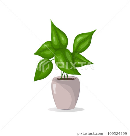 House Plant in Ceramic Pot Icon Isolated on White.  Interior Plant.  Vector realistic Indoor plant with leaves in a pot. Isolated on white. 109524399