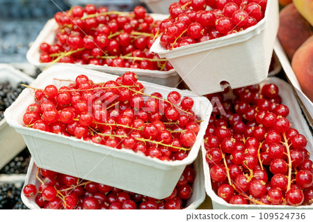 Red currant packaging on fruit market 109524736