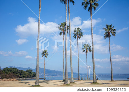 Beppu Kaminagahama Park 109524853