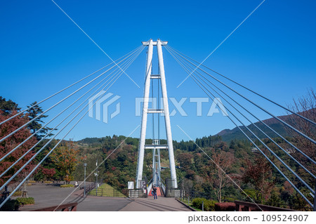 Kokonoe "Dream" Suspension Bridge and Autumn Leaves Kokonoe "Dream" Suspension Bridge and Autumn Leaves 109524907