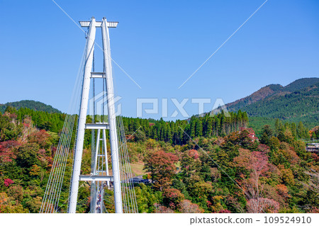 Kokonoe "Dream" Suspension Bridge and Autumn Leaves 109524910
