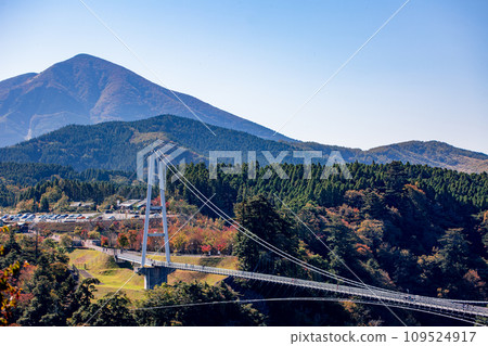 Kuju“夢想”大型吊橋和秋天的落葉 Kuju“夢想”大型吊橋和秋天的落葉 109524917