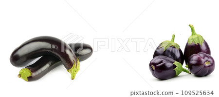 Eggplants isolated on a white. Collage. Free space for text. Wide photo. Eggplants isolated on a white. Collage. Free space for text. Wide photo. 109525634