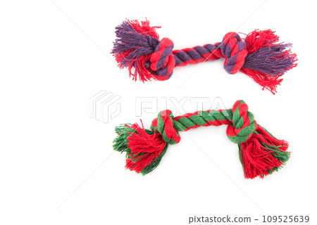 Rope (dog toy) isolated on white. Free space for text. Rope (dog toy) isolated on white. Free space for text. 109525639