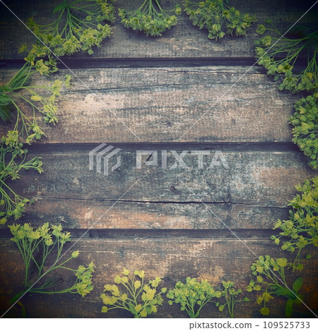 Background of dark horizontal wooden planks framed with green maple flowers. Twigs, leaves and flowers are laid out around copy space. Postcard or blank for design. Brown wood and green freshness 109525733