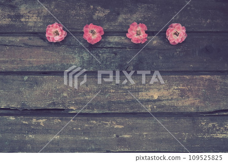 Buds of spray pink terry roses on a wooden background. Four beautiful roses are laid out on the table in a horizontal line. copy space. Free space for text. Card, surface layout. 109525825