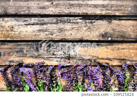 Lavender and sage flowers on a wooden table close-up. Horizontal planks of dark old wood with purple and blue flowers and leaves around the edges. Still life and flat lay. Free copy space for text Lavender and sage flowers on a wooden table close-up. Horizontal planks of dark old wood with purple and blue flowers and leaves around the edges. Still life and flat lay. Free copy space for text 109525828