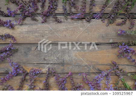 Lavender and sage flowers on a wooden table close-up. Horizontal boards of dark old wood with purple and blue flowers and leaves all around. Still life and flat lay. Free space for text. Copy space. Lavender and sage flowers on a wooden table close-up. Horizontal boards of dark old wood with purple and blue flowers and leaves all around. Still life and flat lay. Free space for text. Copy space. 109525967