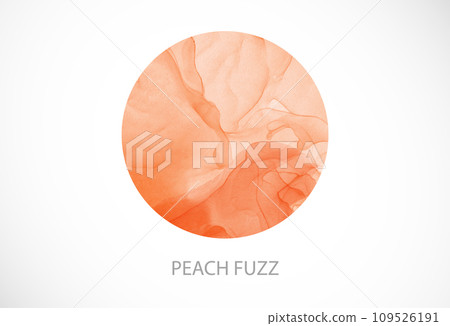 Color of the year 2024. Peach circle on white background. 2024 trend inspiration Color of the year 2024. Peach circle on white background. 2024 trend inspiration 109526191
