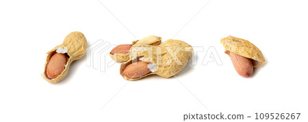 Peanuts Isolated, Roasted Arachis Nuts, Open Pea Nut, Whole Groundnut with Shell, Peanut on White 109526267