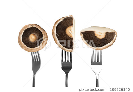 Portobello mushroom, portabella or portobella isolated on forks on white background. Big brown sliced 109526340