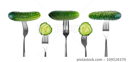 Cucumber slices on forks isolated on white background Cucumber slices on forks isolated on white background 109526370