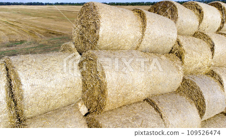 Many bales and rolls of straw after the harvest collected together on field on sunny autumn summer day. Agricultural agro-industrial agrarian landscape. Agribusiness agro business. Aerial drone view. 109526474