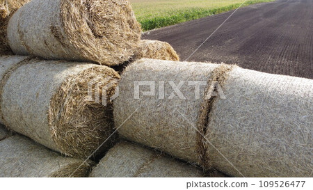 Many bales of straw in the field. Many bales rolls of wheat straw stacked together in field after harvest on summer day. Agricultural agro-industrial agrarian field. agribusiness. Aerial drone view. 109526477