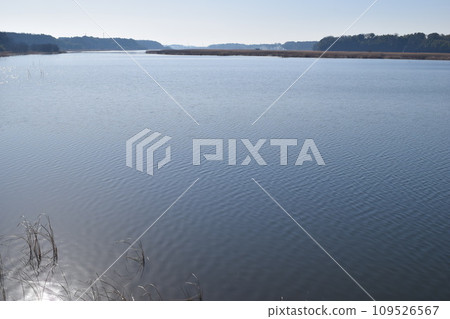 八田川流入茨城縣牛沼市 八田川流入茨城縣牛沼市 109526567