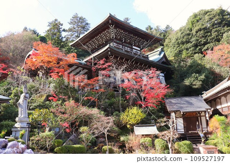 Daishoin Temple Maniden, located at the foot of the World Heritage Site Mt. Misen, Miyajima, Hiroshima Prefecture Daishoin Temple Maniden, located at the foot of the World Heritage Site Mt. Misen, Miyajima, Hiroshima Prefecture 109527197