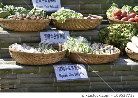 Miyazaki Shrine dedication Miyazaki Shrine dedication 109527732