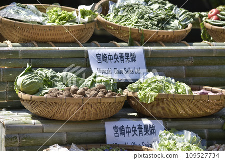 Miyazaki Shrine dedication Miyazaki Shrine dedication 109527734