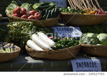 Miyazaki Shrine dedication 109527763