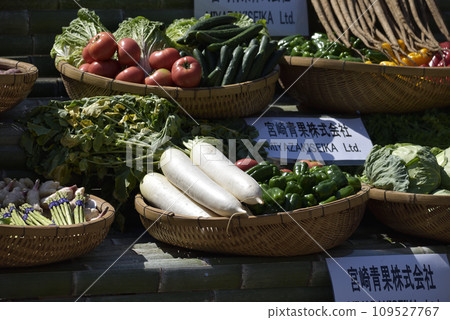 Miyazaki Shrine dedication 109527767