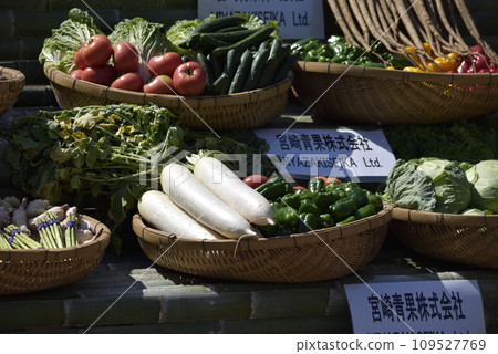 Miyazaki Shrine dedication 109527769