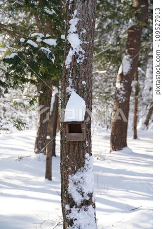 snow-covered aviary snow-covered aviary 109527913
