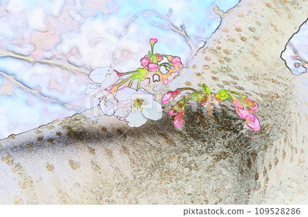 Illustration watercolor style Somei Yoshino 32 109528286