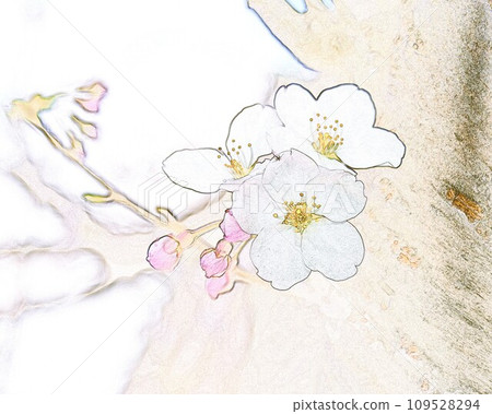 Illustration watercolor style Somei Yoshino 26 109528294