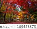 Autumn leaves carpet (horizontal composition) 109528375