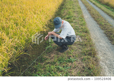 farming, farmer, farmhouse 109528406