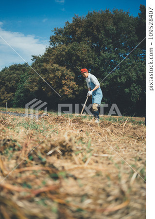 harvest, field, gents 109528407