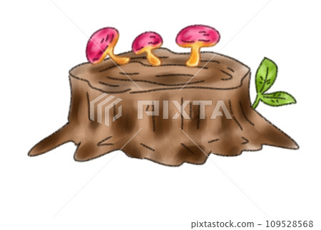 stump left in the forest 109528568