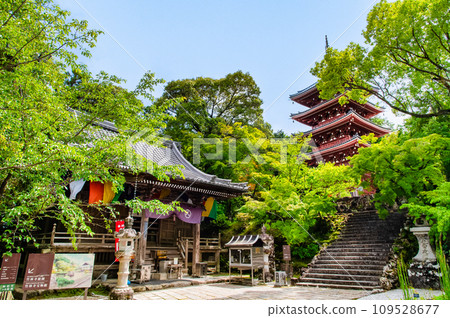 高知竹林寺 五層寶塔與大師堂 高知竹林寺 五層寶塔與大師堂 109528677