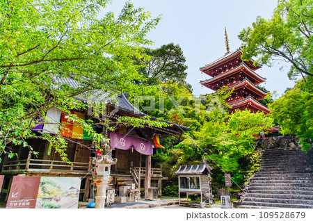 高知竹林寺 五層寶塔與大師堂 高知竹林寺 五層寶塔與大師堂 109528679