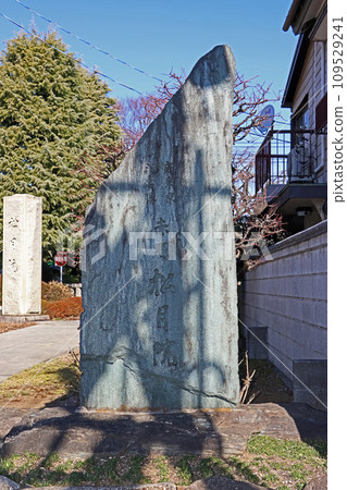 Matsutsukiin (Itabashi) 109529241