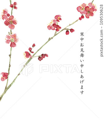水彩畫梅花插畫【手繪】冬天的問候,白色背景,透明背景 水彩畫梅花插畫【手繪】冬天的問候,白色背景,透明背景 109530628