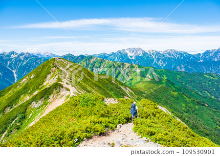 Climbing Mt. Jigatake in summer (view from the middle peak of Mt. Jjigatake towards the south peak and Mt. Tateyama) 109530901