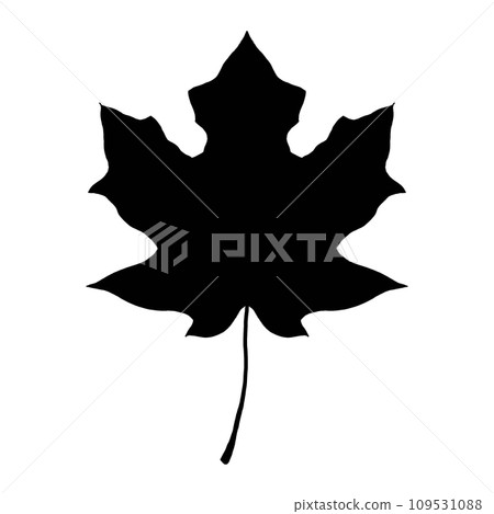 maple leaf silhouette illustration 109531088