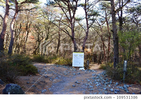 Kirishima City, Takachiho Riverside Kirishima Jingu Forest Walking Trail (climbing trail) entrance and information board Kirishima City, Takachiho Riverside Kirishima Jingu Forest Walking Trail (climbing trail) entrance and information board 109531386