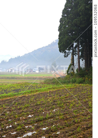 Autumn scenery, foggy rural scenery, Minamiuonuma in late autumn Autumn scenery, foggy rural scenery, Minamiuonuma in late autumn 109532068