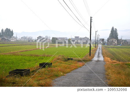秋天的風景，霧濛濛的田園風光，深秋的南魚沼 109532098