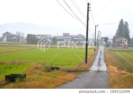 秋天的風景，霧濛濛的田園風光，深秋的南魚沼 109532099