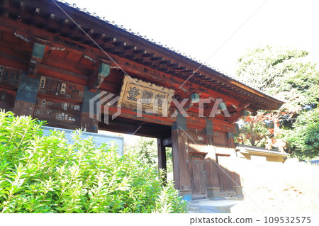 Gokoku Shrine Somon，文京區，東京 109532575