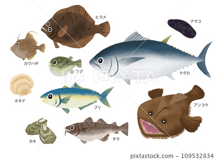 Illustration of seasonal fish in winter Illustration of seasonal fish in winter 109532834